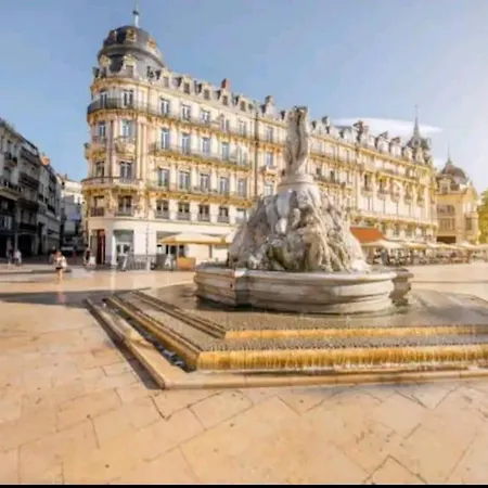Azema : Cocon Tranquille Avec Terrasse Proche Du Centre * מונפלייה