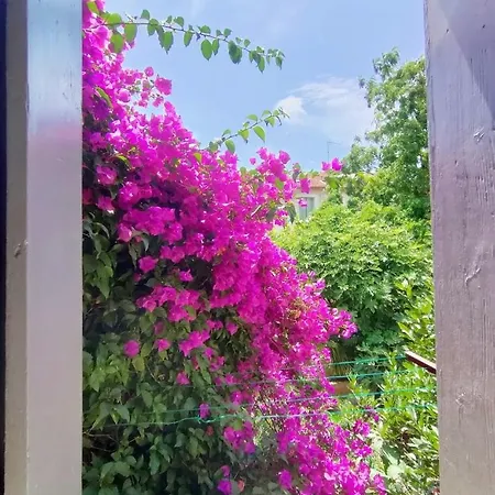 דירה Azema : Cocon Tranquille Avec Terrasse Proche Du Centre *