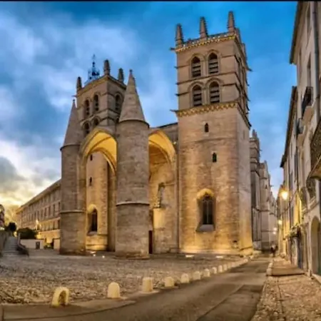 Azema : Cocon Tranquille Avec Terrasse Proche Du Centre * Montpellier